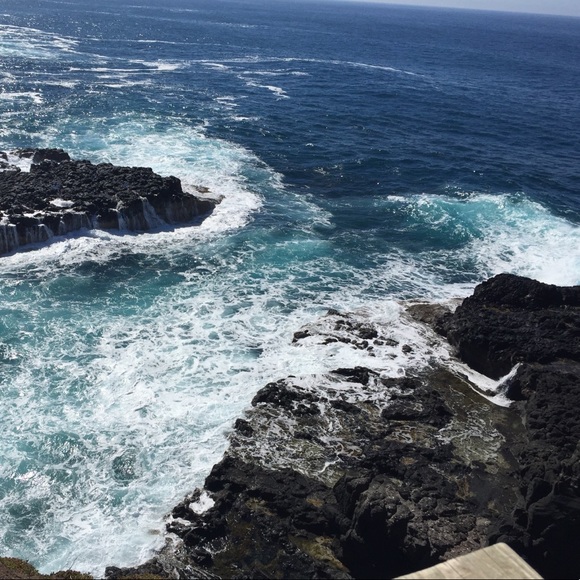 Meet your Posher, Ayah - Picture 1 of 1